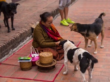 After dawn, one woman had her own ceremony with the street dogs.